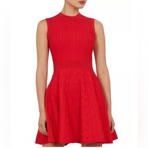 Ted Baker - Kamylia dress (Like New)